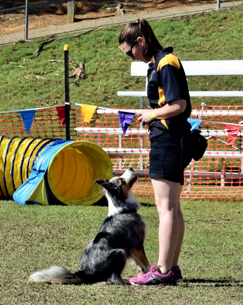 Assistance Dog Training Methods