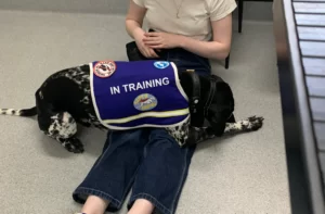 Disability Dog, Assistance Dog, GHAD Trainer